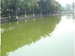 Waste Water Sewage